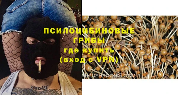 Альфа ПВП Алексеевка